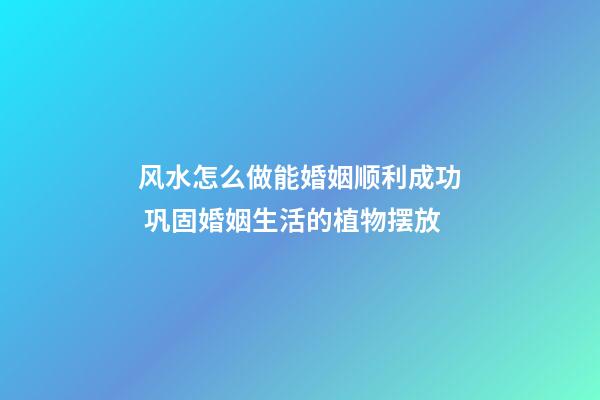 风水怎么做能婚姻顺利成功 巩固婚姻生活的植物摆放